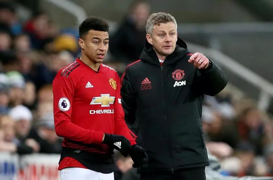 在未来的马 在未来的马